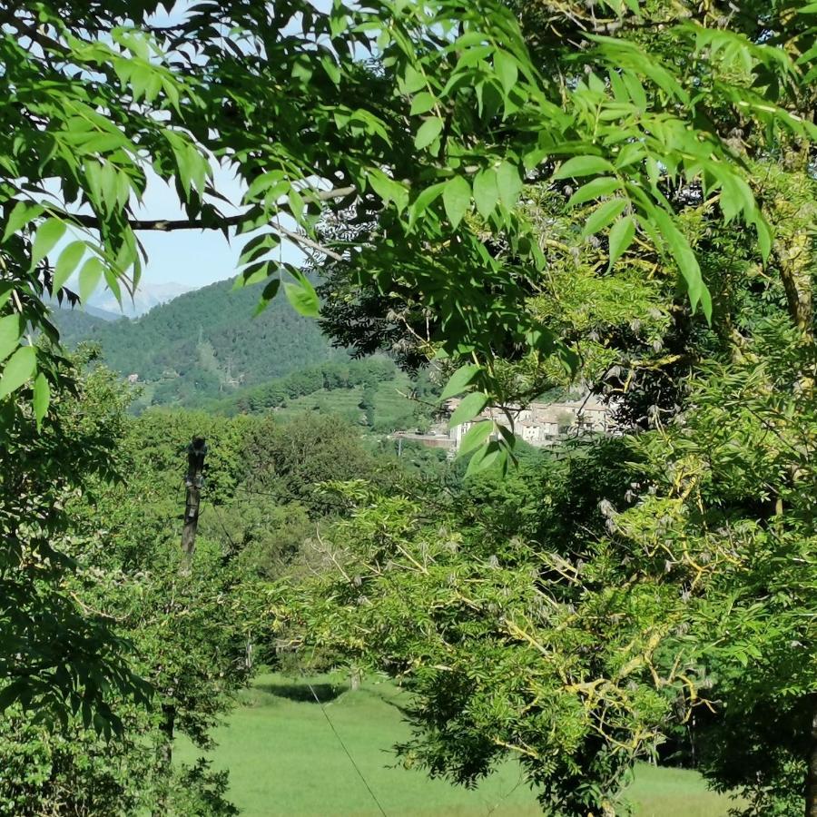 Allotjaments Rurals Can Punti Vallfogona de Ripolles Εξωτερικό φωτογραφία